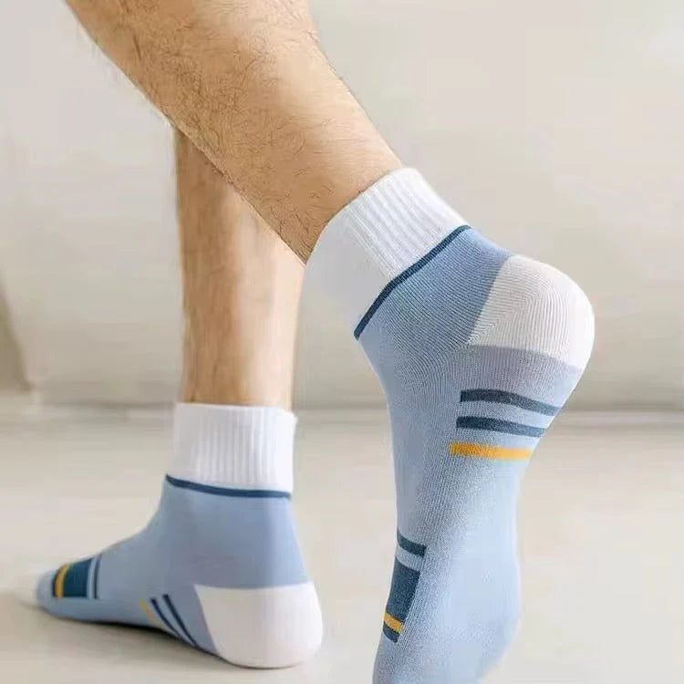 Strip Unisex Edition Socks (Pack of 6)